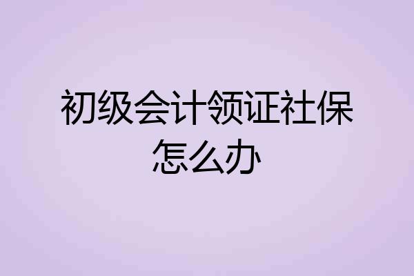 初级会计领证社保怎么办