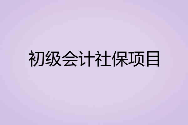 初级会计社保项目
