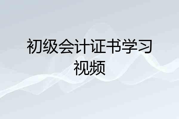 初级会计证书学习视频