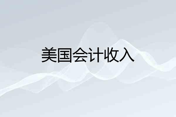 美国会计收入
