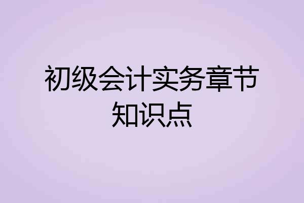 初级会计实务章节知识点