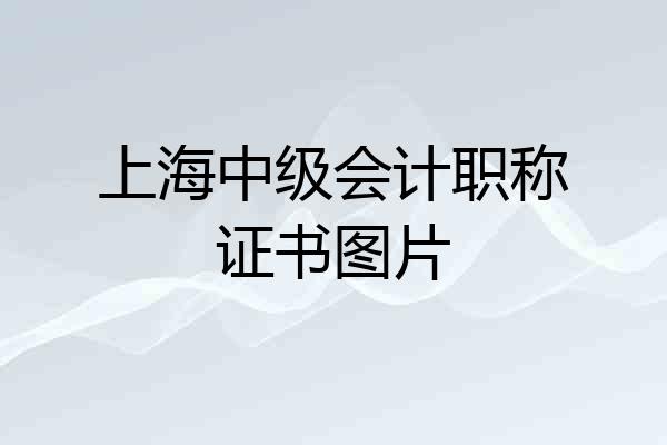上海中级会计职称证书图片