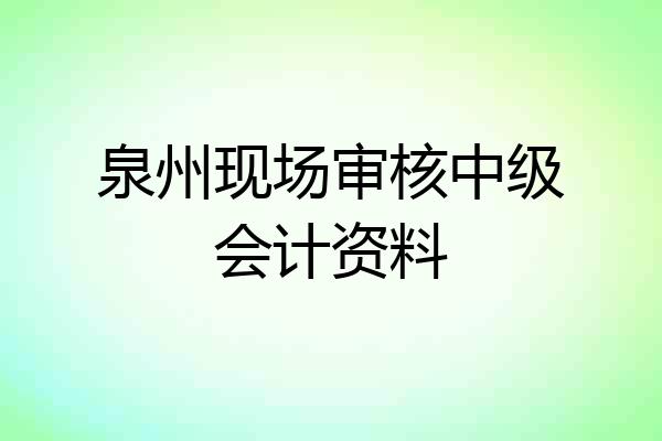 泉州现场审核中级会计资料