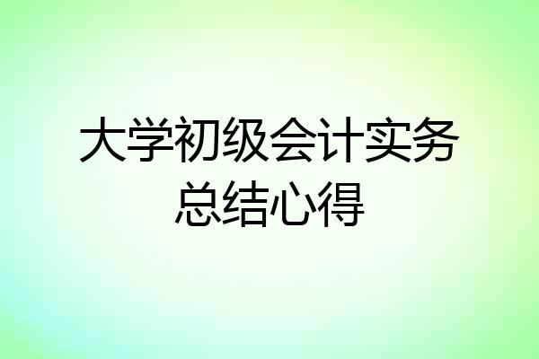 大学初级会计实务总结心得
