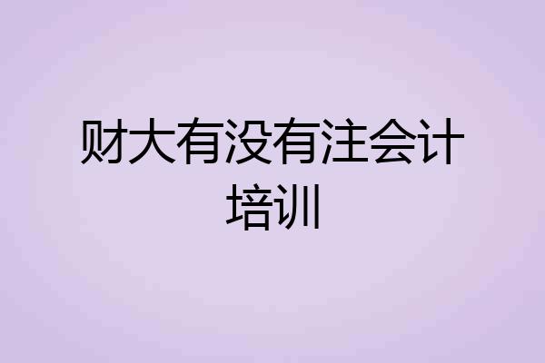 财大有没有注会计培训