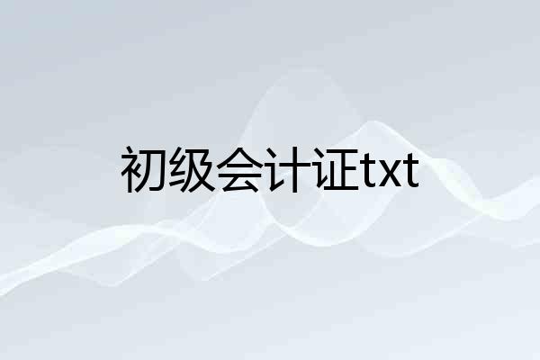 初级会计证txt