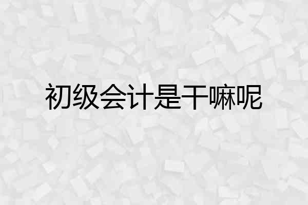 初级会计是干嘛呢