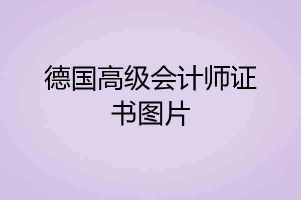 德国高级会计师证书图片