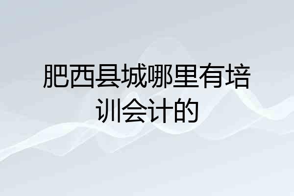 肥西县城哪里有培训会计的