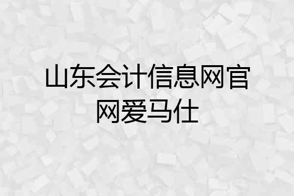 山东会计信息网官网爱马仕