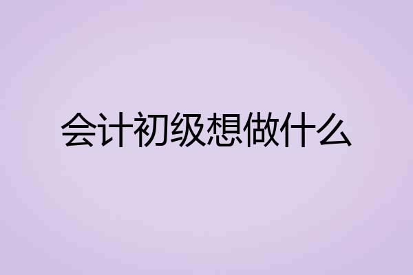 会计初级想做什么