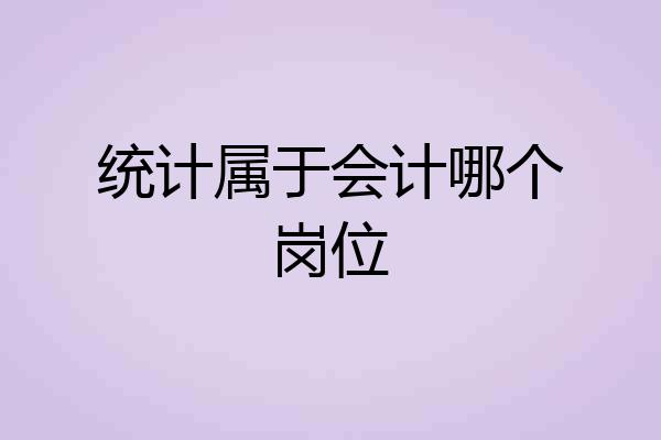 统计属于会计哪个岗位