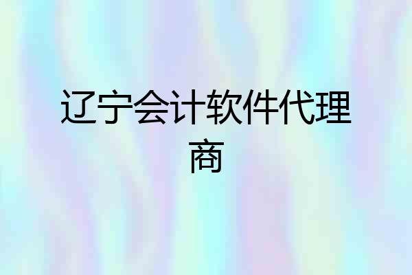 辽宁会计软件代理商