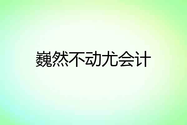 巍然不动尤会计