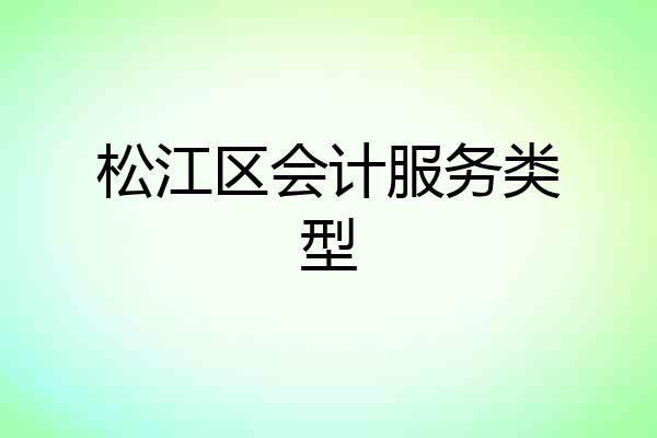 松江区会计服务类型