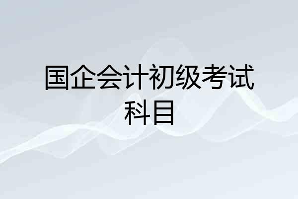 国企会计初级考试科目