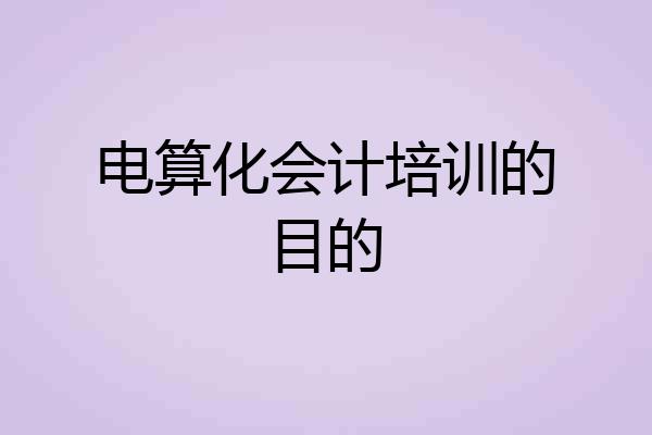 电算化会计培训的目的