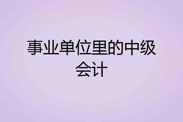 事业单位里的中级会计