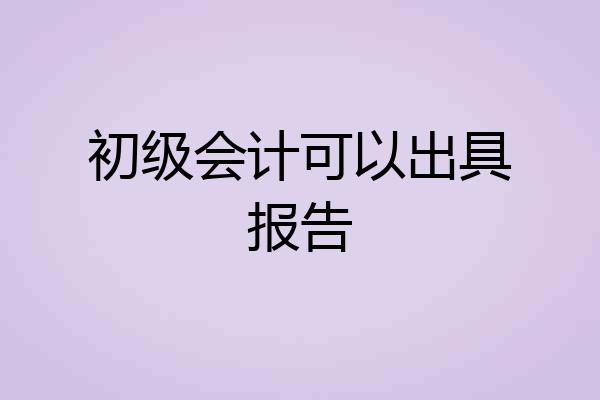 初级会计可以出具报告