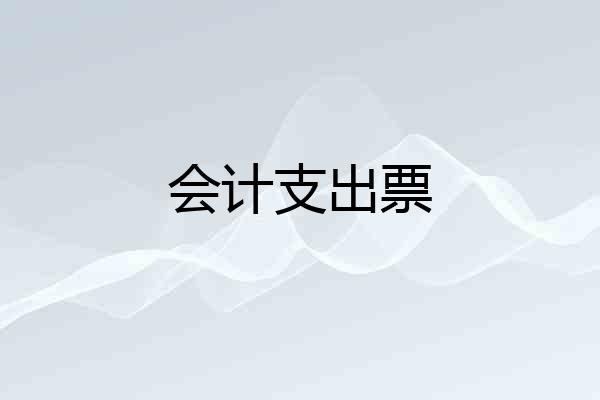 会计支出票