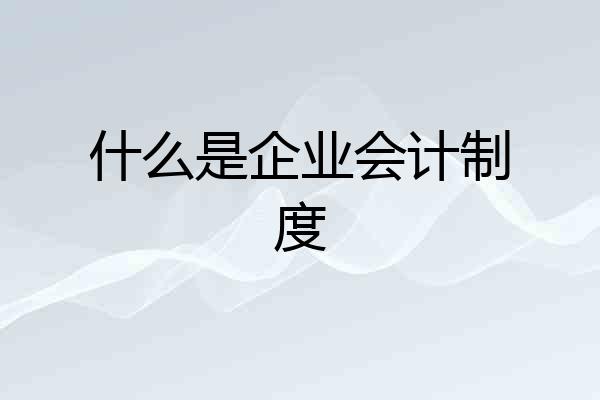 什么是企业会计制度