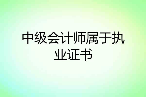 中级会计师属于执业证书