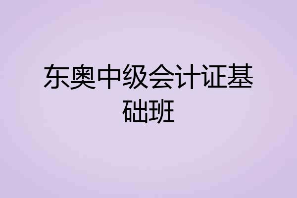 东奥中级会计证基础班