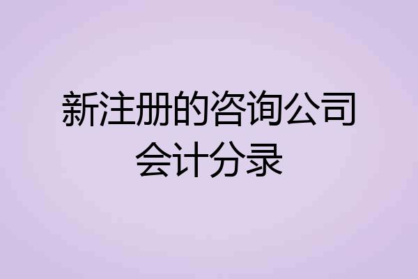 新注册的咨询公司会计分录