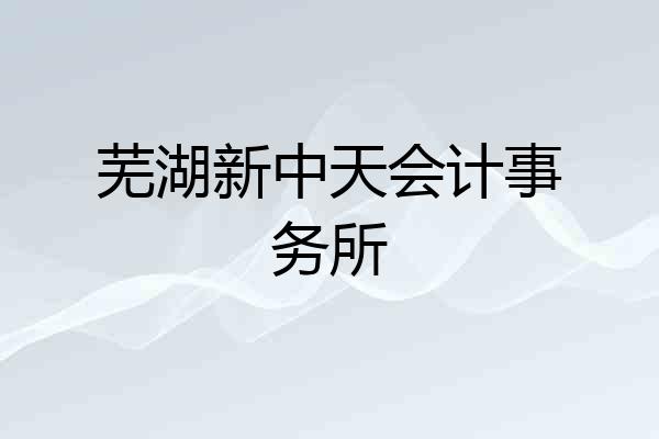 芜湖新中天会计事务所