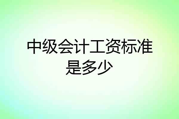 中级会计工资标准是多少