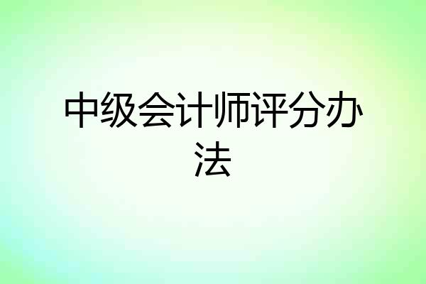 中级会计师评分办法