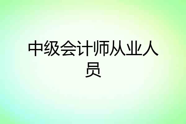 中级会计师从业人员