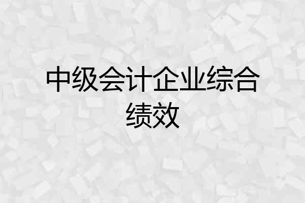 中级会计企业综合绩效