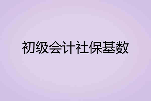 初级会计社保基数