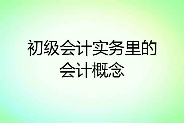 初级会计实务里的会计概念