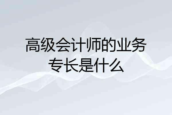 高级会计师的业务专长是什么