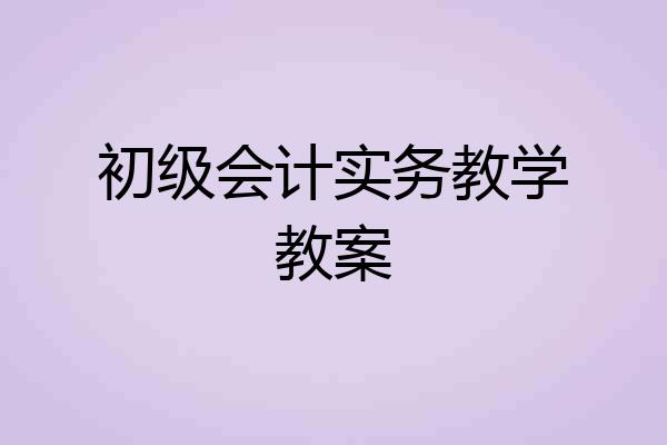 初级会计实务教学教案