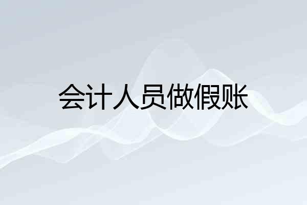 会计人员做假账