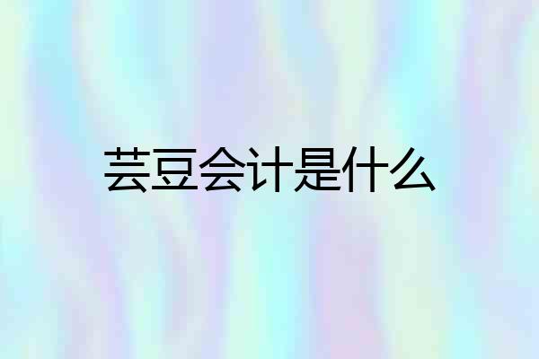 芸豆会计是什么