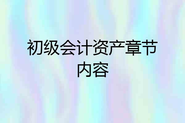 初级会计资产章节内容
