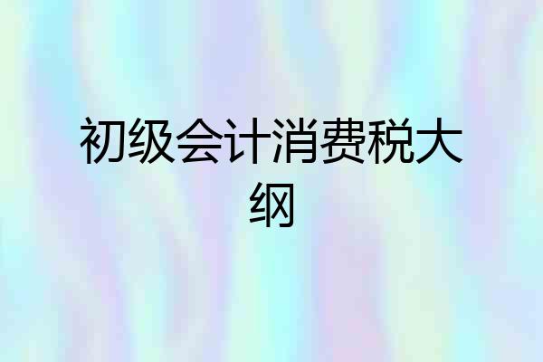 初级会计消费税大纲