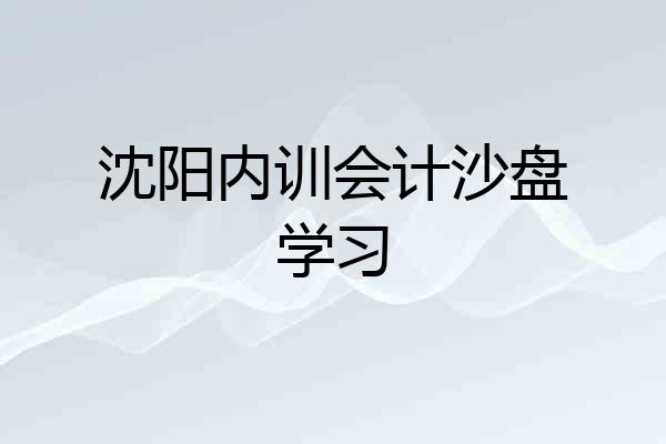 沈阳内训会计沙盘学习