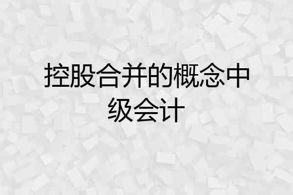 控股合并的概念中级会计