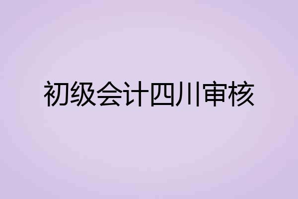 初级会计四川审核