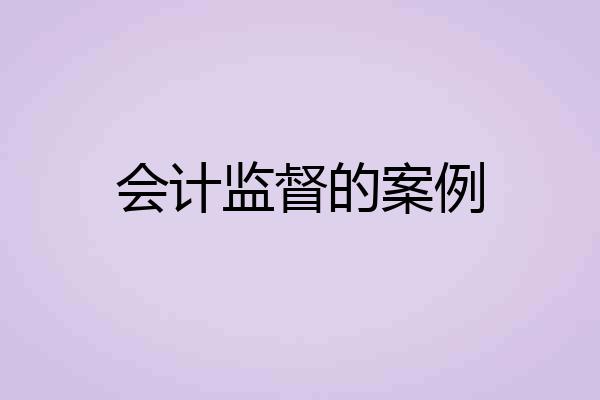 会计监督的案例