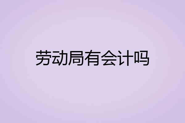 劳动局有会计吗