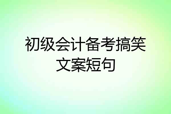 初级会计备考搞笑文案短句