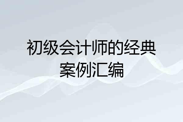 初级会计师的经典案例汇编