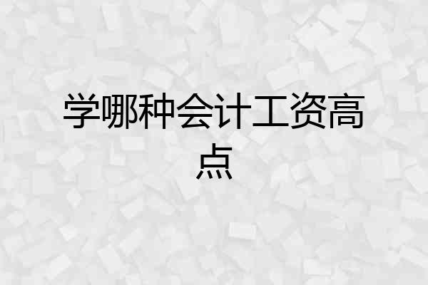 学哪种会计工资高点