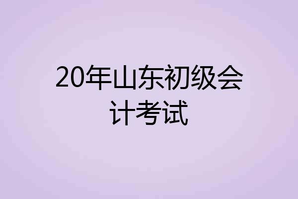 20年山东初级会计考试